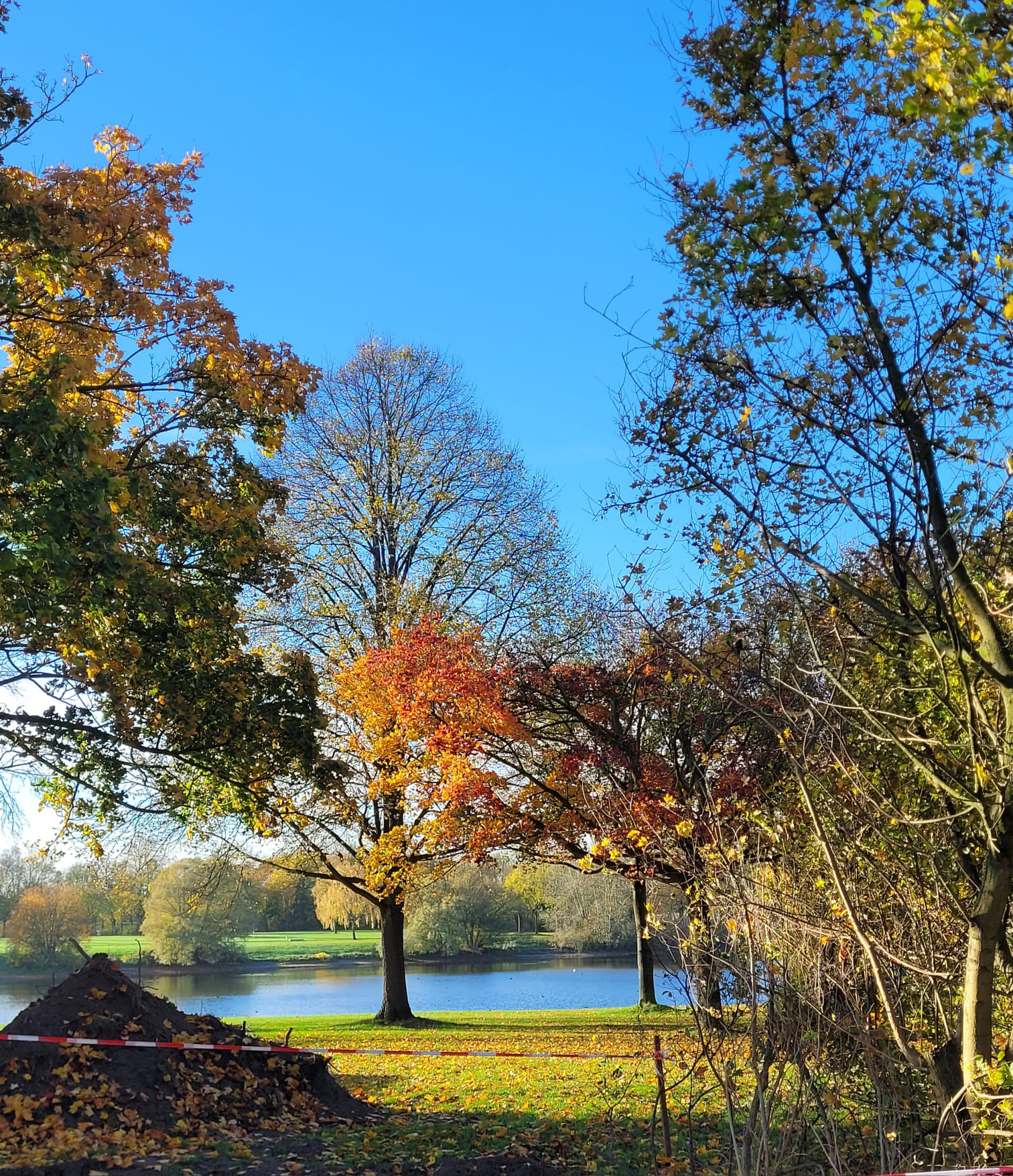 Bild vom Auesee - Senioren-Alltags-Unterstützung Tanja Rauber GmbH
